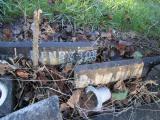 image of grave number 364356
